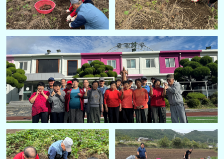 2025년 10월 - 추억여행